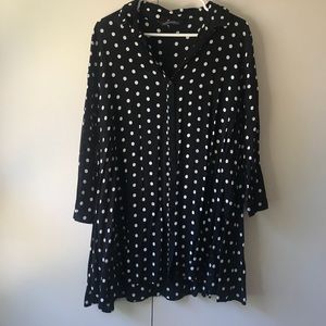 Zara Polka Dot Dress